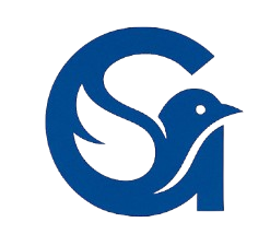 GoVisible logo